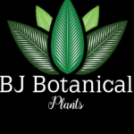 Iqbaal Kratom Profile Picture