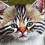 Montana Willms Profile Picture