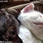 Hester Stracke Profile Picture