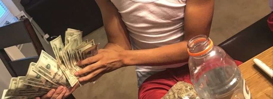 William Mccoy Cover Image