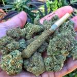 William Smith Trip_high Profile Picture