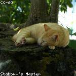 Scot Becker Profile Picture