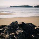 Allison Gislason Profile Picture