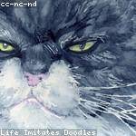 Aniya Boehm Profile Picture