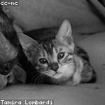 Emie Heller Profile Picture