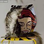 Karley Buckridge Profile Picture