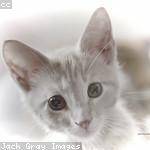 Josie Schuster Profile Picture