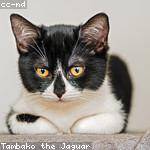 Zackery Keeling Profile Picture