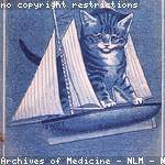 Brock Anderson Profile Picture