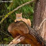 Edwin Konopelski Profile Picture