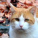 Zander Schinner Profile Picture