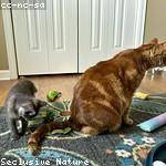 Marcelino Upton Profile Picture