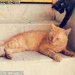 Delta Walter Profile Picture