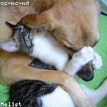 Melba Wunsch Profile Picture