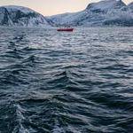 Payton Crooks Profile Picture