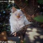 Wilfred Barton Profile Picture