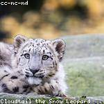 Jena Watsica Profile Picture