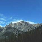 Loraine Padberg Profile Picture