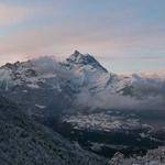 Rosanna Jerde Profile Picture