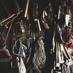 Avis Braun Profile Picture