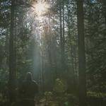 Vanessa Wehner Profile Picture