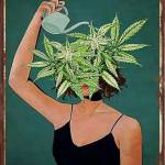 Vivi An Profile Picture