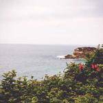 Watson Kassulke Profile Picture