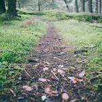 Lily Roberts Profile Picture