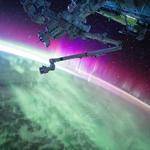 Alivia Hoppe Profile Picture