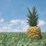Kailey Hermiston Profile Picture