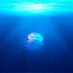 Arnold Nolan Profile Picture