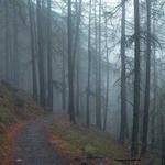 Electa Conroy Profile Picture