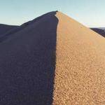 Amira Lind Profile Picture