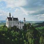 Sunny Olson Profile Picture