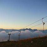 Mallie Larson Profile Picture