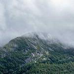 Rowland Mante Profile Picture