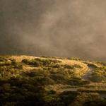 Maribel Lang Profile Picture