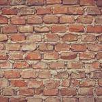 Malika Glover Profile Picture