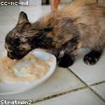 Hattie Reichel Profile Picture