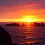 Elva Johnston Profile Picture