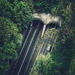 Jailyn Lueilwitz Profile Picture