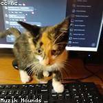 Carlie Hansen Profile Picture