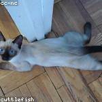 Asha Beier Profile Picture