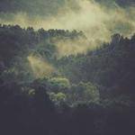 Kody Macejkovic Profile Picture