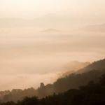 Santina Lesch Profile Picture