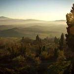 Ora Ward Profile Picture