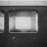 Reynold Harris Profile Picture