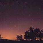 Annamae Mann Profile Picture