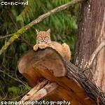 Gerhard Prohaska Profile Picture