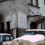 Ebba Schiller Profile Picture